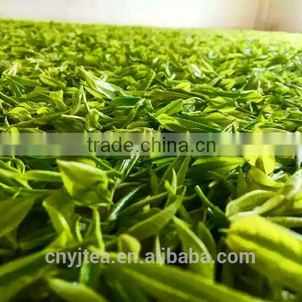 Chinese Green Tea as Organic Produce With NOP photo-3