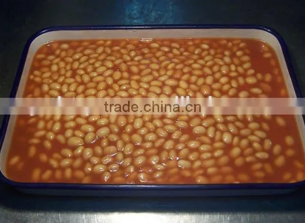 FDA KOSHER Canned White Kidney Beans in Tomato Paste photo-2