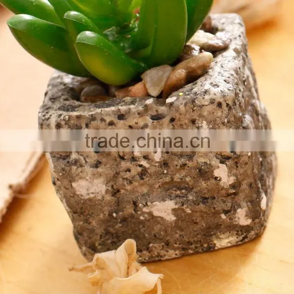 2016 Latest Design Artificial Succulent Pot Succulent Plants For Sale photo-4