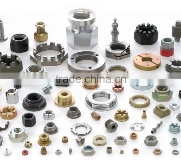 Special Nut,Non-Standard Nut As Per Drawing or Samples