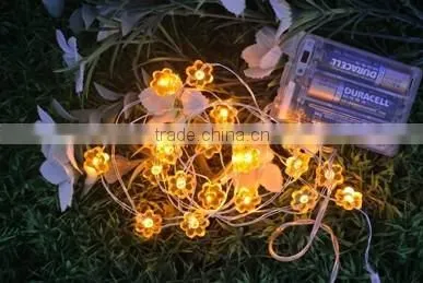 LED Festival Lights photo-3