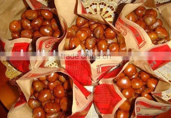 The Most Delicious Fresh Chinese Chestnut photo-5