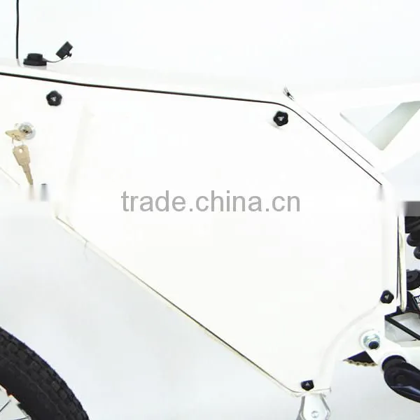 Pedals Assisted Electric Bike Strong Carbon Frame Mountain Bike 3000w photo-2