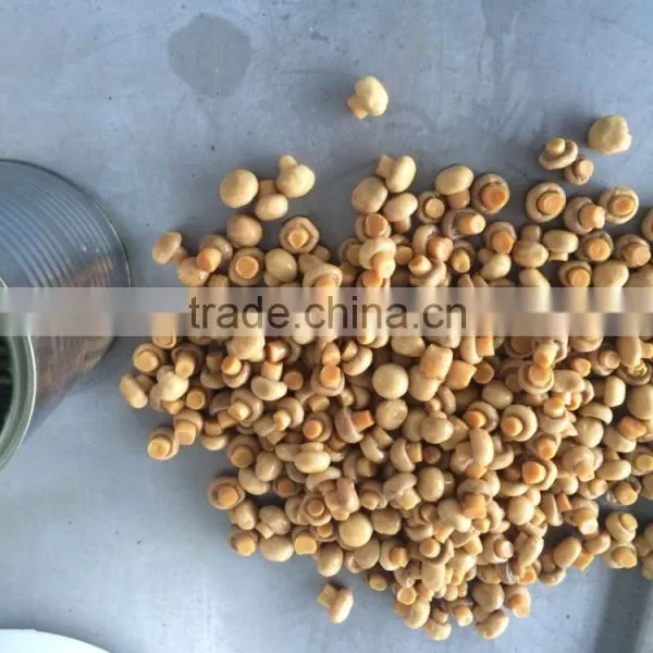 Canned Mushroom Whole in Brine 425g Choice Quality photo-4