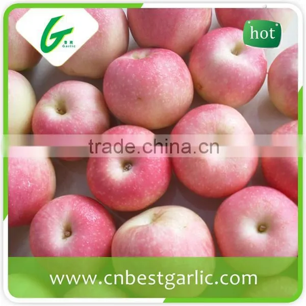 Chinese Grade A Fresh Royal Gala Apple photo-6
