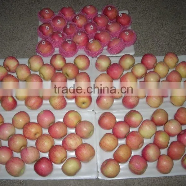 2015 New Crop Chinese Fresh Fuji Apple From Best Food photo-2