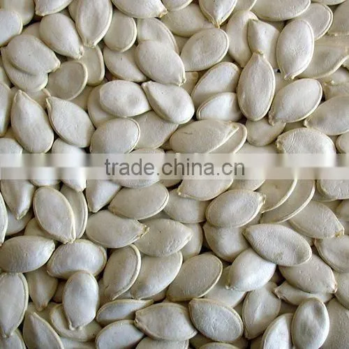Pumpkin Seeds
