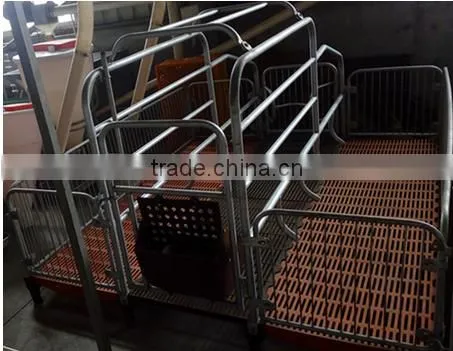 Equipment For Poultry Farms Farrowing Crates For Pigs For Sale photo-4