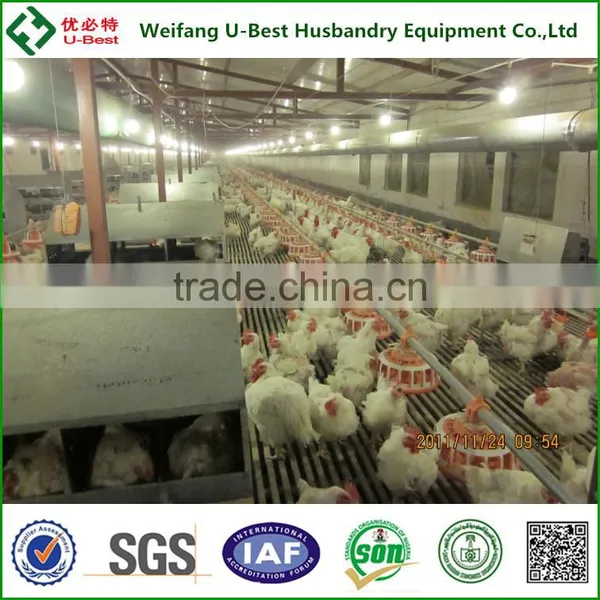 U-BEST Full Automatic Poultry Equipment for Breeder Chicken photo-4