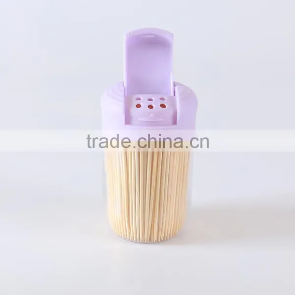 Chinese Supplier Tooth Cleaning Toothpick