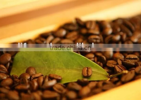 Instant Coffee Mix Ganoderma Lucidum photo-3
