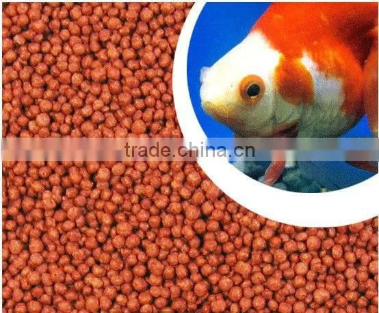 Hot Sales of Fish Ball Food Manufacturing Machines photo-4