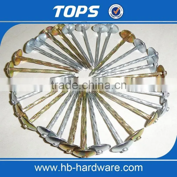 Galvanized Umbrella Head Roofing Nails With Best Price photo-3