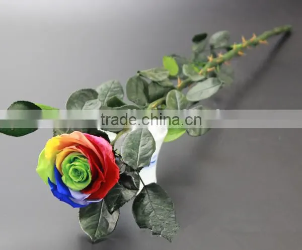 Fresh Preserved Flowers Roses With Long Stem In Gift photo-6
