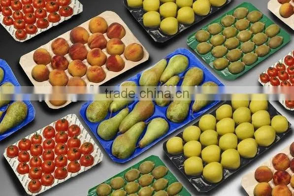 Food Grade Recycle Disposable Rectangular Tomato Plastic Container photo-4