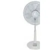 Stand Fan