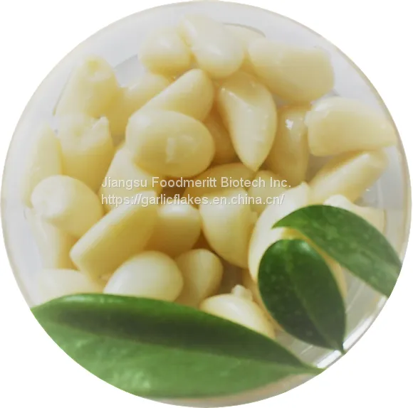Good Quality Dehydrated Garlic Granules From China With KOSHER Certificated photo-5