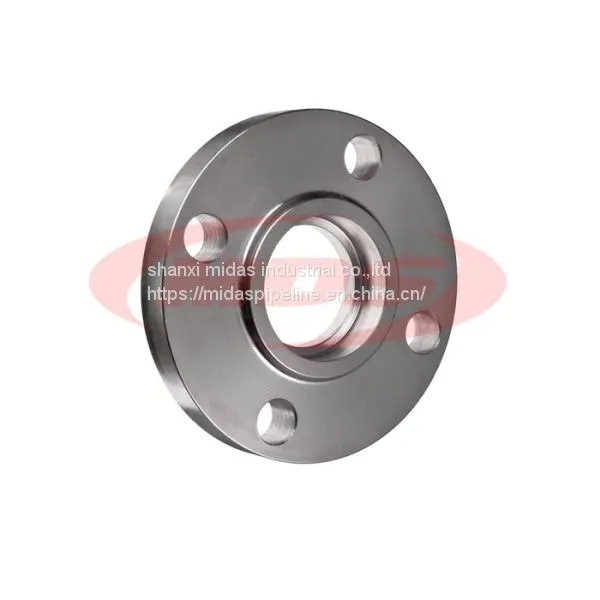 Made in China Stainless Steel Pipe Flange photo-3