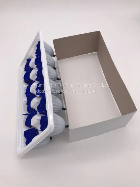 Wholesale3-4cm Elegant Real Touch Preserved Rose Flower photo-5