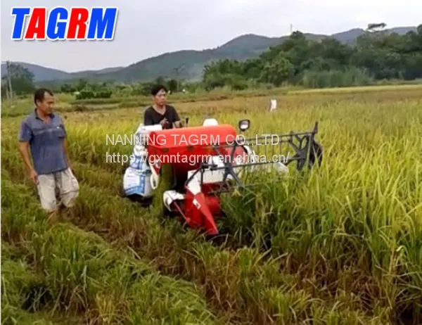 Cheapest Price Mini Rice Combine Harvester / Rice Reaper Working in Muddy Field