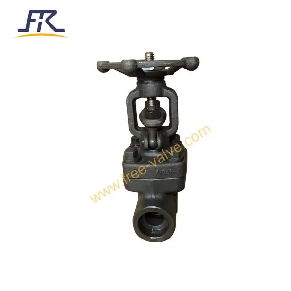 Forged Carbon Steel A105N Class 800 Gate Valve photo-3