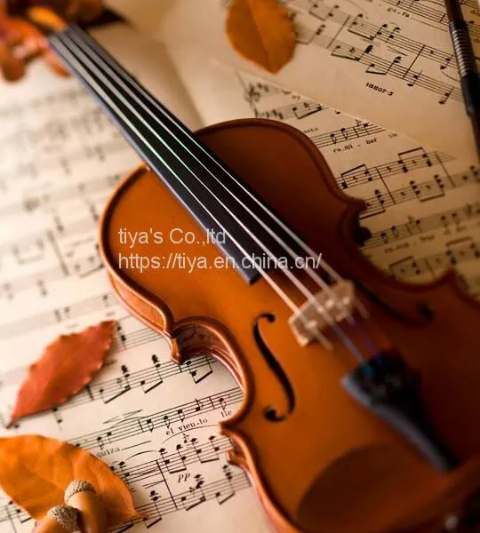 High Quality Antique Style Nice Flamed Ebony Parts Student Violin photo-3