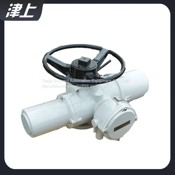 Rotary Electric Actuator IQC20 Solar Control photo-2