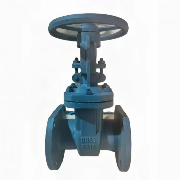 GOST 5762 Cast Steel Carbon Steel PN16 PN25 PN40 WCB Flange Wedge Gate Valve Flexible Wedge Gate Valve photo-3