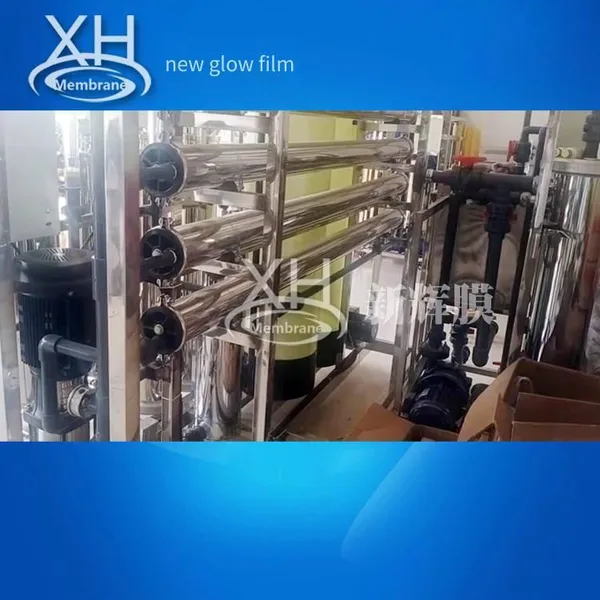 Pure Water Production Equipment Line, Boiler Softened Water Treatment Device, High Water Production Recovery Rate, Xinhui Membrane