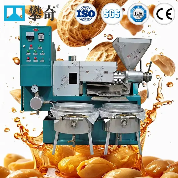 Small Scale Cooking Oil Making Machine 100 - 500 Kg Per Hour Cold and Hot Press Oil Extraction Machine Oil Press Machine for Groundnuts &Peanuts photo-1