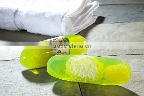 Taiwan Soap Bulk Exporters Handmade Eucalyptus Loofah Soap photo-2