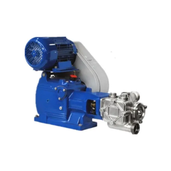 LIVERANI S75 Double-Acting Piston Pump 15 Bar Filter Press Feed Pump 316SS Industrial Wastewater Slurry Pump