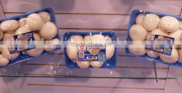 China Plastic Packaging Absorbent Meat Tray photo-4