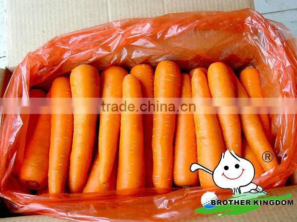 Fresh Carrot in Fresh Carrots,Organic Carrots photo-2