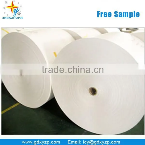 Food Grade PE Coated Paper Roll Paperboard as Food Wrapping Paper photo-4