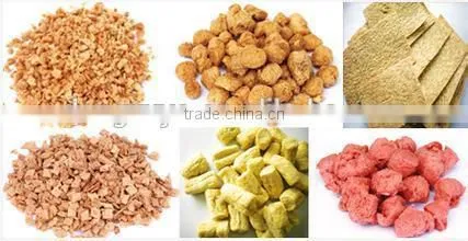 Hot Sale Textured Protein Mini Food Making Machine photo-4