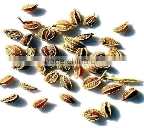 Celery Seed Oil (Fresh & Pure)