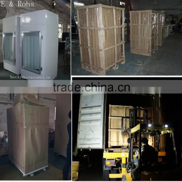 Single Glass Door Upright Ice Merchandiser photo-6