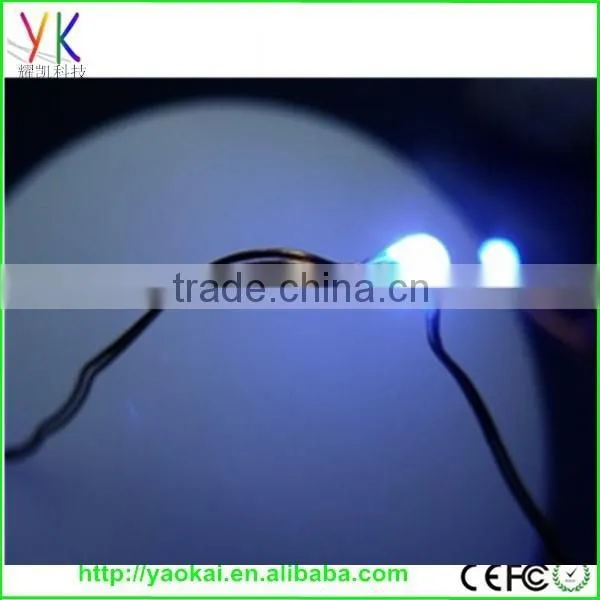 Factory Price and High Quality Waterproof Ip65 Led Decorative Light photo-2