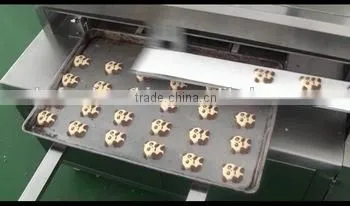 LH2860-11 Cake Cookie Machine With Different Shape photo-4
