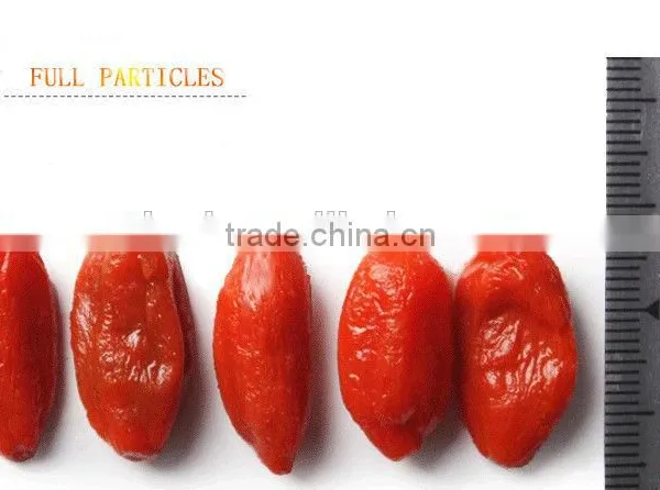 Certificated Organic Goji Berry photo-5