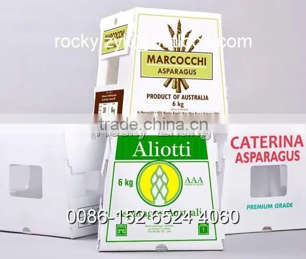 Best Corrugated Plastic Package Box for Banana Packing Carton photo-3