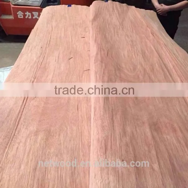0.3mm Natural Wood Veneer 0.3mm Nature Gurjan Wood Veneer Wood Veneer/keruing Laos photo-5