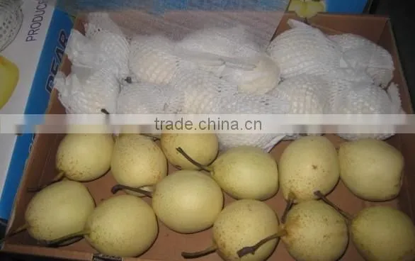 PEAR photo-2