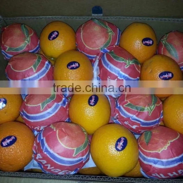 be the First Customers With Our Company and Have Fresh Oranges photo-6