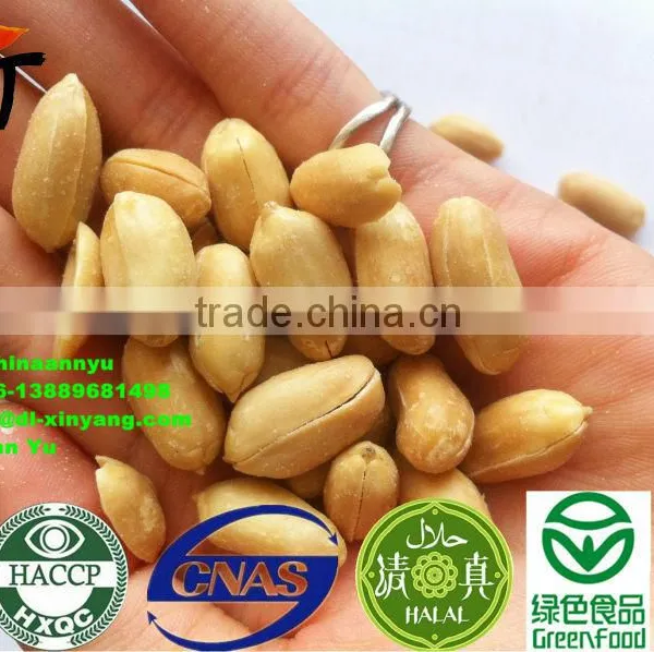 Peanut Kernel photo-5