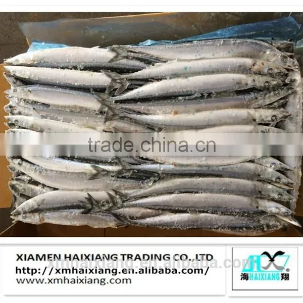 Frozen Fish-Saury Fish photo-2