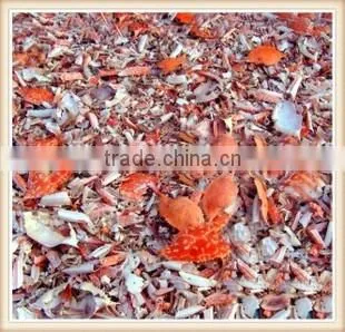 Chitosan Nematicide Liquid Agriculture Seaweed Fertilizer photo-4