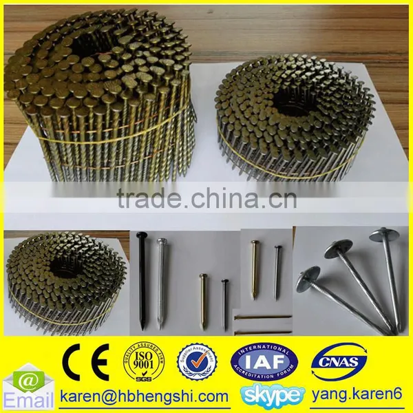 Umbrella Head Iron Nails, Galvanized Nails, Iron Nails,coil Nails, Nails Supplier photo-4