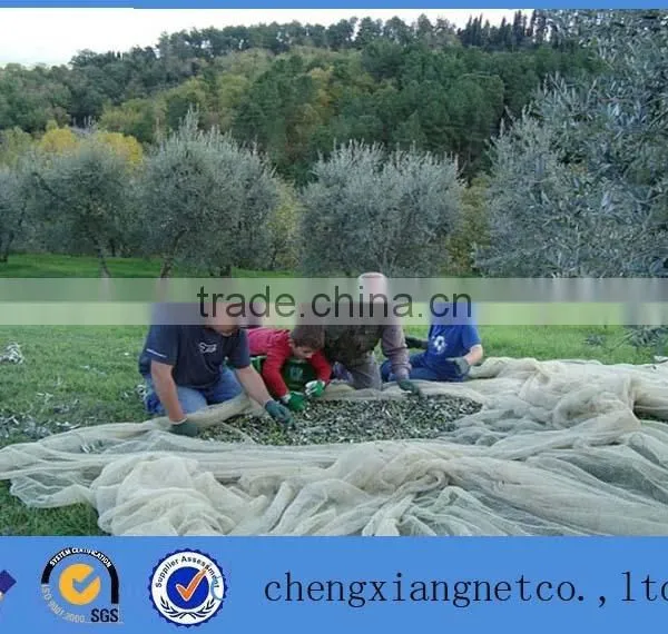 HDPE Virgin Material Knitted Nuts Collect Olive Harvesting Net photo-3